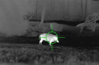 morkersikte-bast-i-test