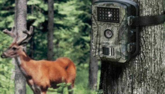 Bästa åtelkamera test 2024 » Bäst i test