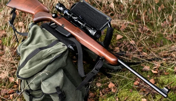 Bästa älgstudsaren 2024 » Bäst i test